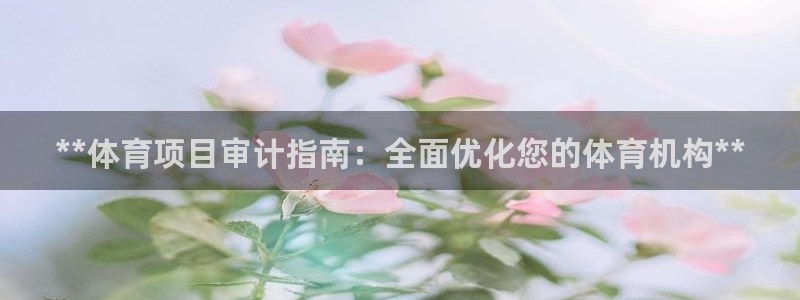 星欧娱乐属于什么档次的公司名称